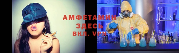 шишки Бородино